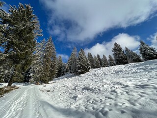 Winter snow idyll along the rural alpine road above the Lake Walen or Lake Walenstadt (Walensee) and in the Swiss Alps, Amden - Canton of St. Gallen, Switzerland (Schweiz)