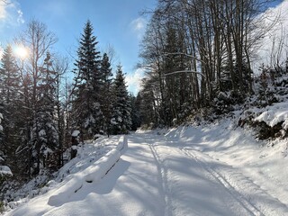Winter snow idyll along the rural alpine road above the Lake Walen or Lake Walenstadt (Walensee) and in the Swiss Alps, Amden - Canton of St. Gallen, Switzerland (Schweiz)