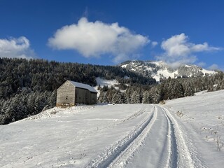 Winter snow idyll along the rural alpine road above the Lake Walen or Lake Walenstadt (Walensee) and in the Swiss Alps, Amden - Canton of St. Gallen, Switzerland (Schweiz)