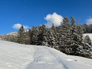 Winter snow idyll along the rural alpine road above the Lake Walen or Lake Walenstadt (Walensee) and in the Swiss Alps, Amden - Canton of St. Gallen, Switzerland (Schweiz)