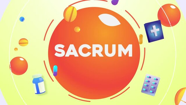 Healt Sacrum Infographic Icon Animation Background 4K