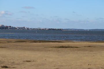 beach and sea