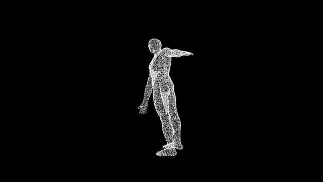 3D man body model consisting of particles and dots rotates 3 axes 60 FPS. Science concept, object made of molecules. Tutorial Video. Abstract bg for logo, title, concept, presentation. 3D animation