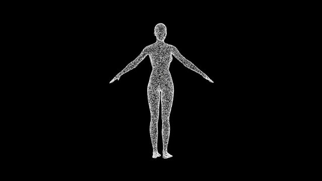 3D woman body consisting of particles and dots rotates its axis 60 FPS. Science concept, object made of molecules. Tutorial Video. Abstract bg for logo, title, concept, presentation. 3D animation