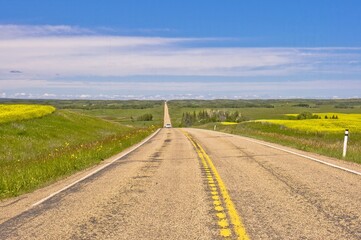 Naklejka premium Prairie highway in Alberta, Canada