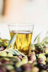Olive oil bottle and olive oil in glass on old wooden table under olive tree.
