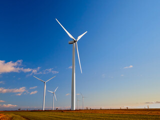 Panoramic view of a wind turbines farm at sunset with copy space. Green energy, concept of sustainability