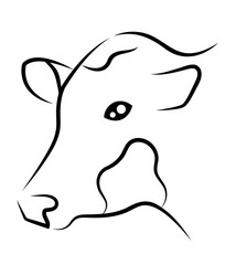 Krowa ilustracja szkic - obrazy, fototapety, plakaty