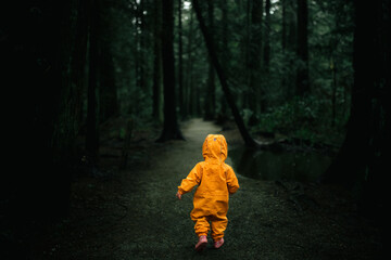 person in the forest - children walk in the woods