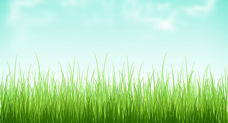 Plakat Spring nature background with green grass field, Template banner for Easter, Spring. Summer concept.