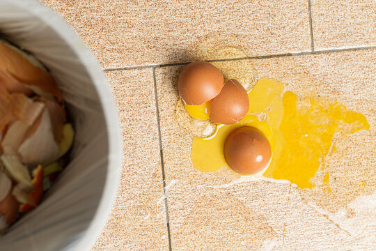 Broken eggs on the ground next to a garbage can, The image can be used to convey a message about food waste and carelessness