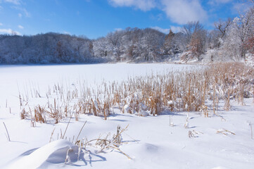 Fototapeta na wymiar frozen marsh and pond under fresh snow near woods of marthaler park in west saint paul minnesota