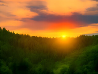 Naklejka na ściany i meble sunset over the forest landscape