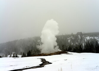 Old Faithful Geyser erupting