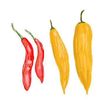 Ilustración de ajíes peruanos, ají verde, amarillo, comida, insumo