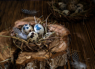 Easter eggs in a nest on a wooden background. Easter greeting card. Quail eggs.