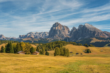 Autumn landscapes of the meadow in Alpe di Siusi, Dolomites, Italy