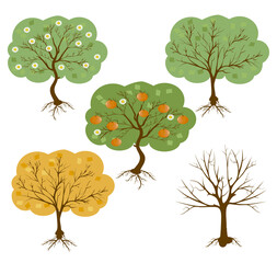 vector set of a harvest seasons of a tree