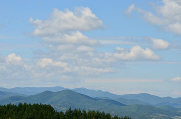 Mountain layers and green forests in Belogradchik