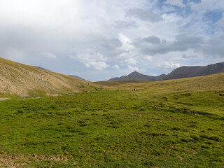 Fototapeta premium Beautiful green meadow in the Kyrgyz mountains.