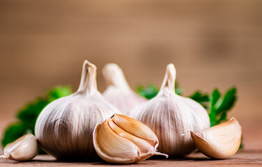 Cloves of fresh garlic with parsley. 
