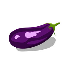 Eggplant isolated on white background 