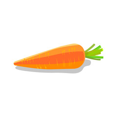 Carrot isolated on white background	
