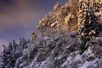 朝焼けの冬景色
