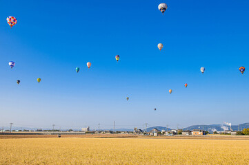 麦畑と快晴の空を飛行する熱気球