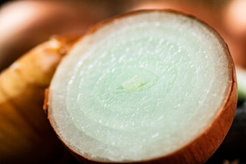 A slice of onions. Macro background. 