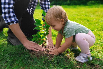 Father and his baby daughter planting tree together in garden, closeup