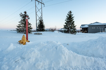 Fire hydrant with a locator protruding from a snow back along a residential street. 