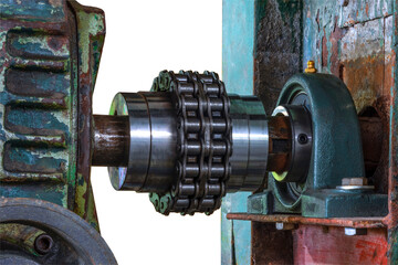 gear reducer with roller chain