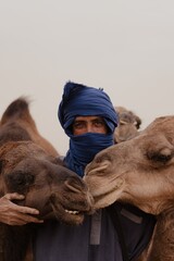 portrait of a camel