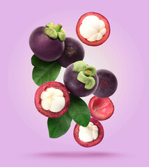 Many ripe mangosteen fruits and leaves falling on violet background