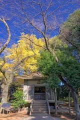 神奈川県・秦野市 晩秋の弘法山公園の風景
