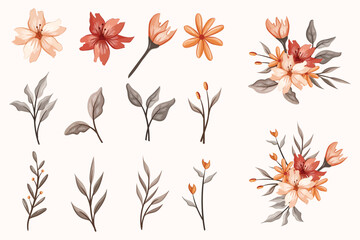 Set botanic blossom floral elements. Branches, leaves, herbs, wild plants, flowers. Garden, meadow, field collection leaf, foliage, branches. Bloom vector illustration isolated on white background