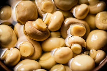 Pickled mushrooms in brine. Macro background. 