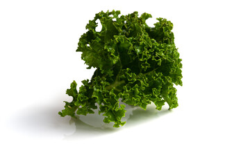 Grünkohlblatt vor weissen Hintergrund