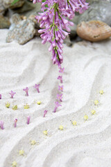 Zen sand garden with purple flowers