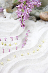 Fototapeta na wymiar Zen sand garden with purple flowers