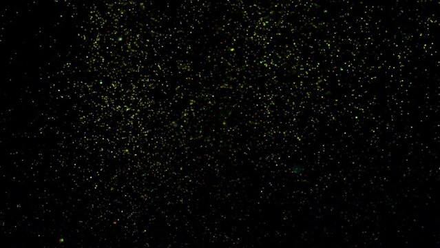 4k Natural Organic Dust Particles Floating On Black Background, Light colorful particles in slow motion, Brocade Effect high quality, glowing and shining particles spread in air, wind moving particles
