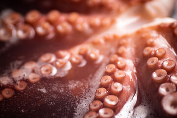 The tentacles of the octopus are boiled in water.