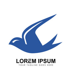 Swallow Bird Logo Vector icon
