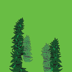 marijuana tree vector on green screen
