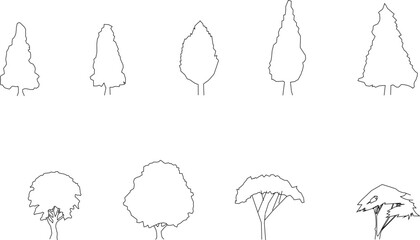 black and white front view vector sketch of plant illustration