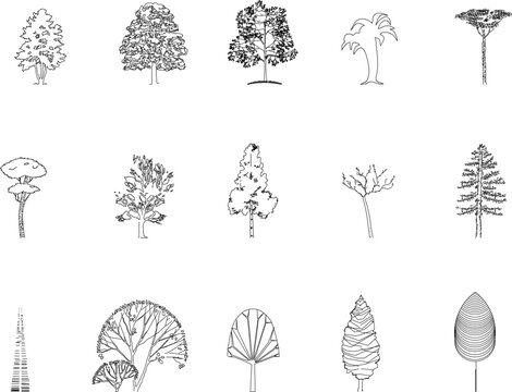 collection of trees