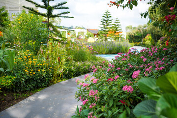 Colorful garden with path way