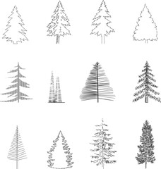 Obraz premium sketch vector illustration of a spruce tree silhouette front view in full black and white