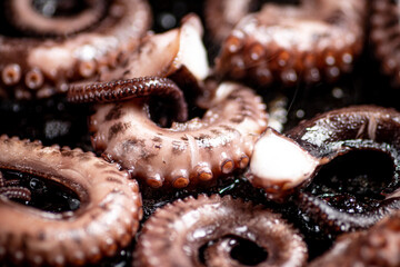 An octopus in a frying pan. 
